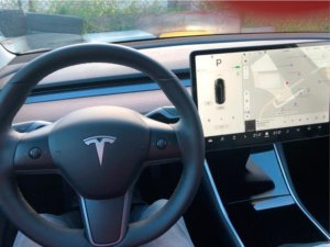 Tesla Model 3 steering wheel interior detailing by Elite Pro Car Care